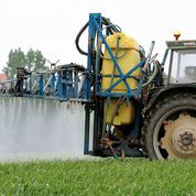 Pesticides : un risque mal évalué pour les agriculteurs