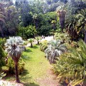 Antibes: le tour du monde des jardins à la Villa Thuret