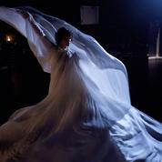 La Danseuse : Loïe Fuller, un papillon dans la lumière