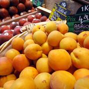 Les producteurs de fruits français s'inquiètent de la concurrence