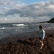 Des plages disparaissent en Corse