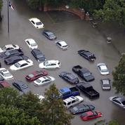 Les ouragans dopent les ventes de voitures aux États-Unis