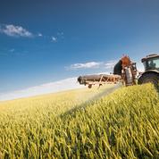 La justice suspend la vente de deux nouveaux pesticides