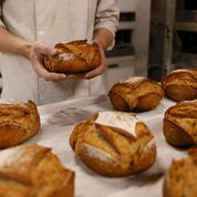 Boulangeries : les artisans en guerre contre les enseignes