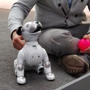 La star du CES est un chien robot