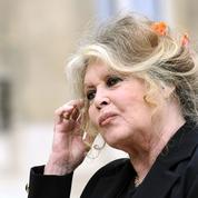 Brigitte Bardot fustige ces «actrices allumeuses» qui témoignent de harcèlement sexuel