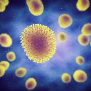 États-Unis: le système de santé accusé d'aggraver l'épidémie de grippe