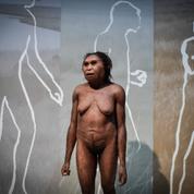«Il y a eu des transferts de gènes entre Neandertal et Homo sapiens»