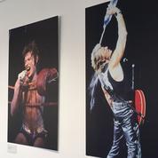 Johnny Hallyday : Marseille lui consacre une première grande exposition