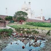 En Inde, le Taj Mahal vire au vert