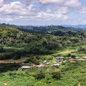 Guyane : le projet de la Montagne d'or sera révisé