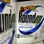 Procès Roundup : les dommages et intérêts demandés à Monsanto divisés par trois