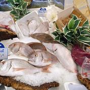 86% des poissons vendus en grande surface proviennent de pêche non durable