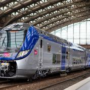 Deux trains Bombardier certifiés «made in France»