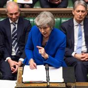 David Hanley : «Theresa May est trop obstinée pour incarner le rassemblement»