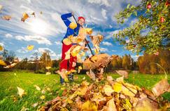 Feuilles mortes: des astuces pour faciliter le ramassage