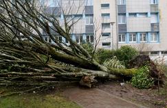 Comment se faire indemniser après une tempête?