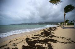 Irma : à quoi sert l'état de catastrophe naturelle pour les sinistrés ?