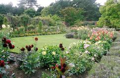 Comment créer un joli parterre fleuri