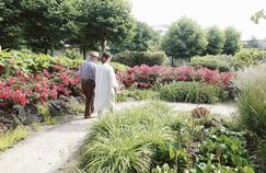 Alzheimer: quand le jardin soigne et apaise