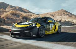 Porsche 718 Cayman GT4, un six cylindres en cage