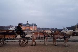 A carriage ride