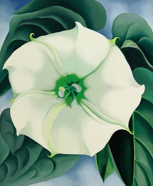 RÃ©sultat de recherche d'images pour "georgia o'keeffe fleur"