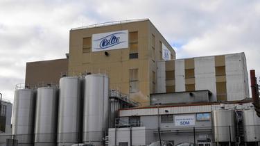 Lactalis : nouvelles questions autour de la contamination du lait par la salmonelle