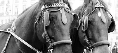 «La post-vérité est une réappropriation de la théorie du complot par la bourgeoisie bien-pensante mondialisée», estime Yves Mamou.