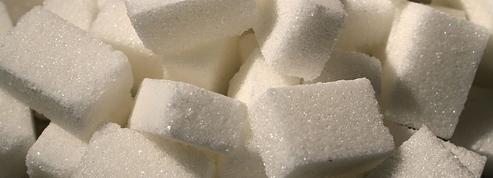 L'industrie agroalimentaire craint une crise du sucre majeure