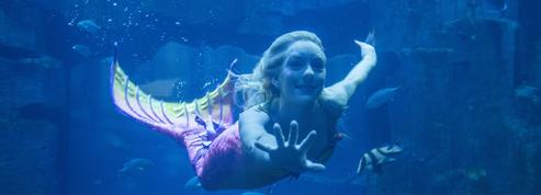 Une sirène plonge à l'Aquarium de Paris