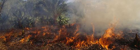 À Madagascar, la tradition du brûlis menace la forêt et l'avenir des habitants