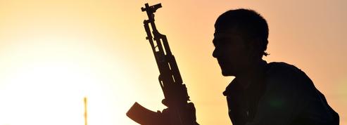 Offensive à Raqqa : « l'État Islamique n'existe plus »