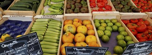 Le marché de l'alimentation crue débarque en France