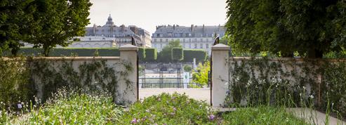 Jardins, jardin: Paris se met au vert