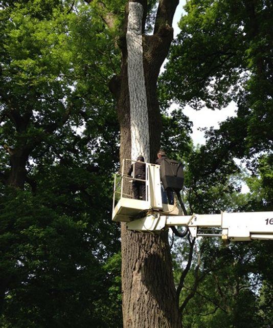 Les expos en plein air de l�été 2015 à Paris Les expos en plein air de l�été 2015 à Paris