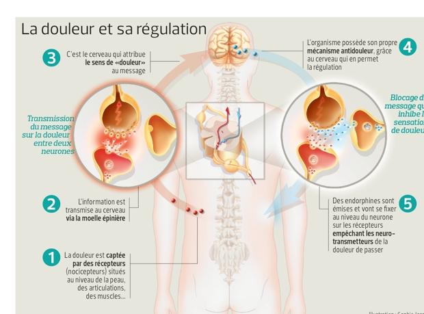 Douleurs Chroniques Rebelles De Meilleures Prises En Charge Douleurs Chroniques Rebelles De Meilleures Prises En Charge