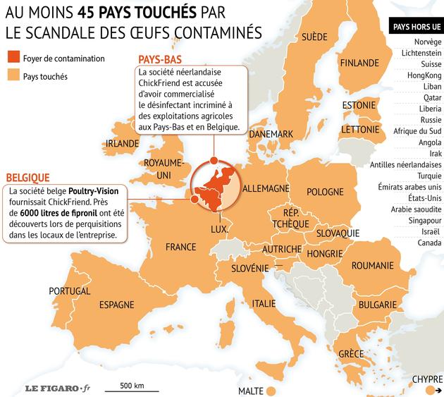 œufs Contaminés Aucune Trace De Fipronil Dans Les élevages