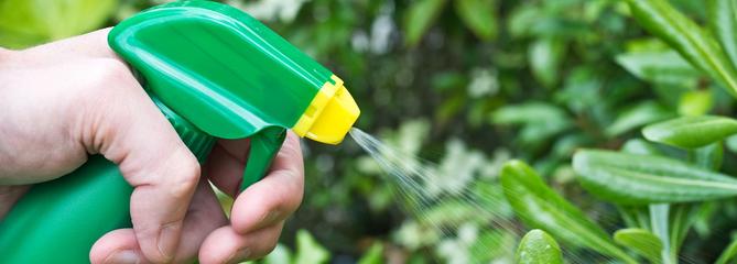 Au jardin, la révolution du «bio pour tous»