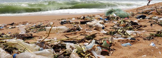 #Trashchallenge : ce défi positif qui contribue à nettoyer la planête