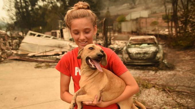  Kambryn Brilz, 12, holds his dog Zoe, in front of his house burned after she was secured by a neighbor during the fire 