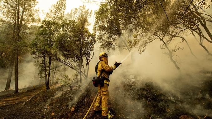  Firefighter Scott Brown sprays water in a backfire as he fights the "Carr" fire in Redding, Calif. 