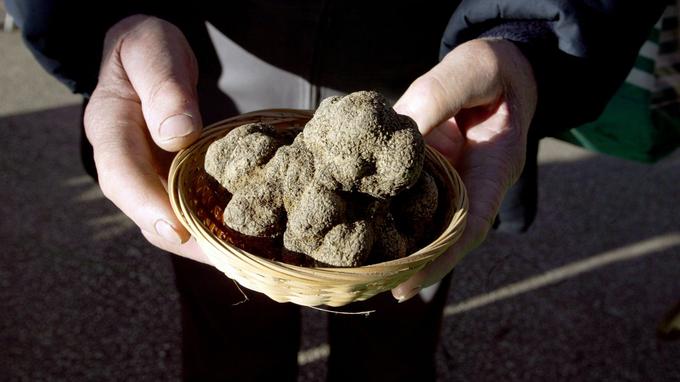 Les prix de la truffe explosent en France