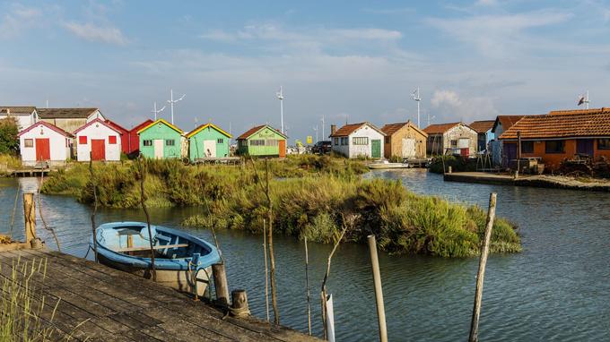 L Ile Aux Tresors Baume Les Dames Atlantique : des racines et des îles