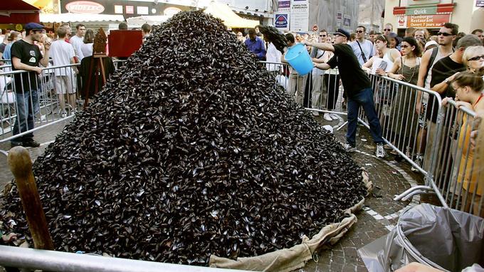 Les coquilles de moules de la Grande Braderie de Lille bientôt