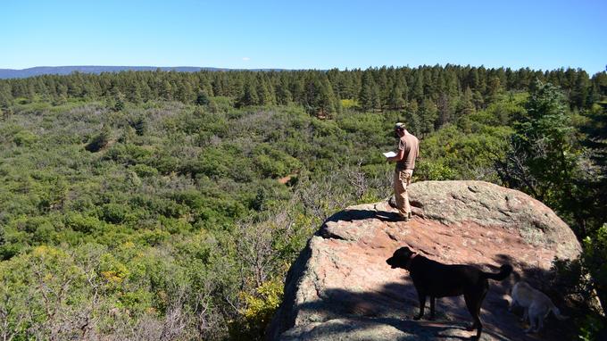 XVM8c12769c-ac62-11e8-ad5b-2e389d045fd2.