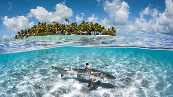L'archipel des Tuamotu, en Polynésie française le dépaysement absolu