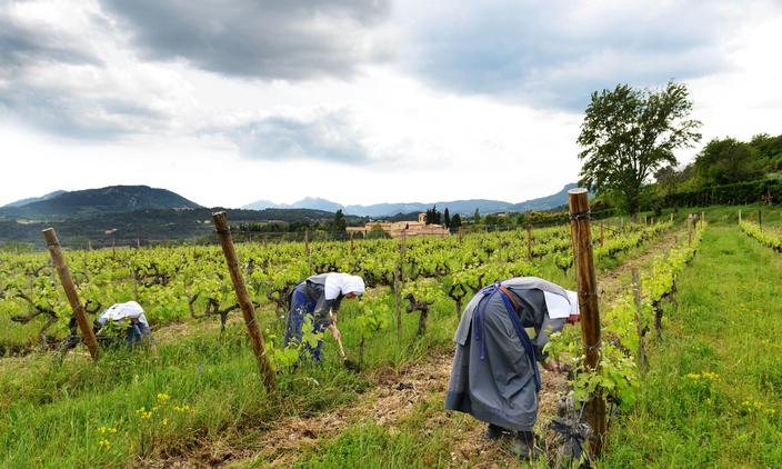 Des Nourritures Tres Spirituelles
