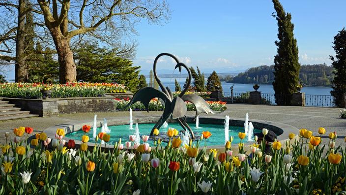 Feu d artifice de tulipes sur le lac de Constance