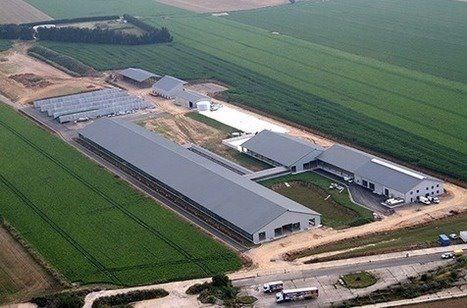 Production laitière. Coup d\'arrêt définitif pour la « ferme des 1 000 vaches » dans la Somme